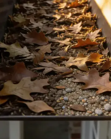 Dry oak leaves and roof grit packed into the bottom of a gutter channel